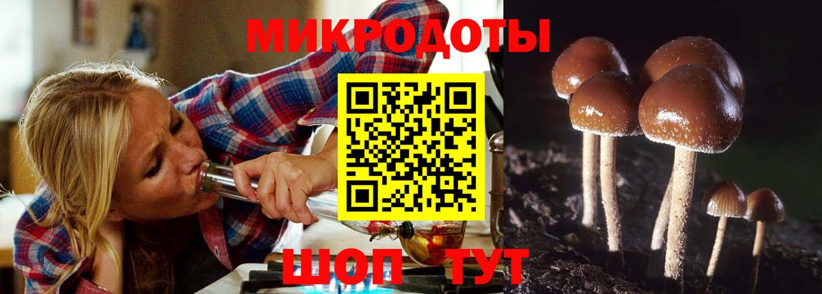 Псилоцибиновые грибы GOLDEN TEACHER  Вход с VPN  Горячий Ключ 